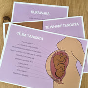Wahine Collection Bundle